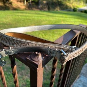 Gold Coach Dog Leash (size Large)